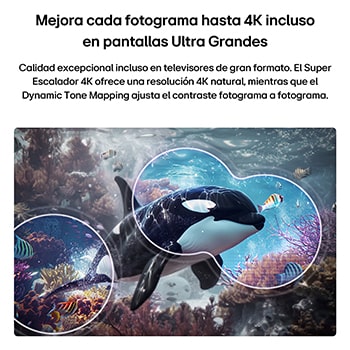 LG QNED evo AI QNED74 Mini LED with 4K Super Upscaling and Dynamic Tone Mapping shows an underwater scene of an orca swimming, as AI recognizes and upscales every frame to 4K resolution.